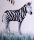 please help save our animals