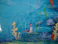 mantis shrimp