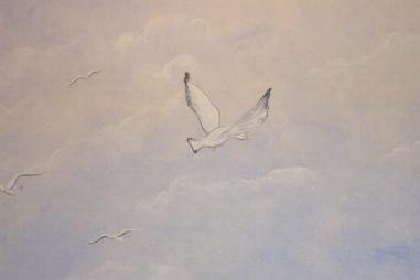 Seagul